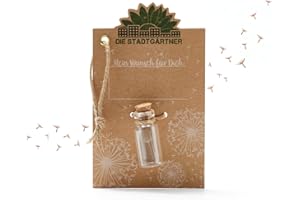 ‎DIE STADTGÄRTNER Die Stadtgärtner – Kleiner Wunscherfüller I Echtes Pusteblumen-Schirmchen im Glas I Ewig haltbar I Perfekte Geschenkidee für jeden Anlass I Geschenk zu Geburtstag, Hochzeit, Muttertag, Ostern etc.