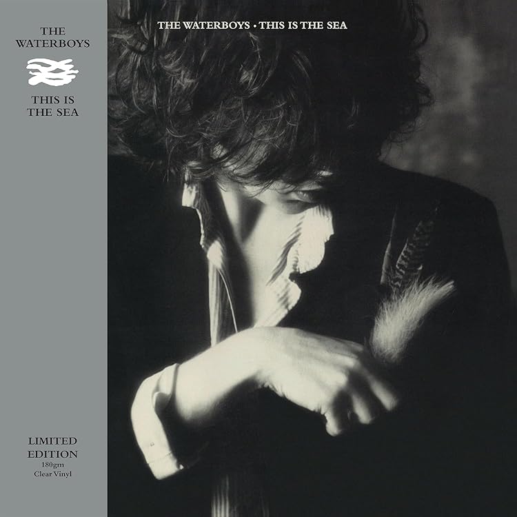 1985 (Deluxe Edition) by The Waterboys: Amazon.co.uk: CDs & Vinyl