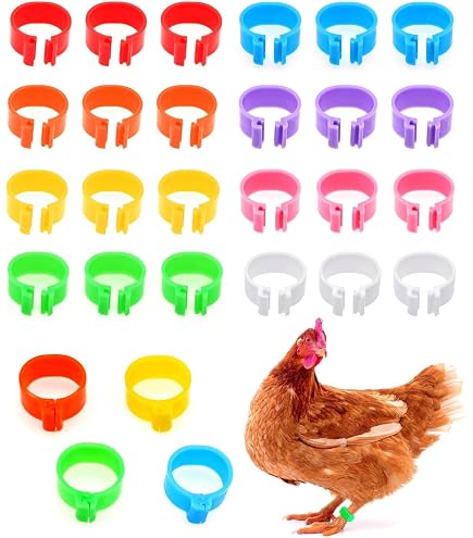 Lot De 100 Bagues D'Identification En Spirale Pour Poules Et Dindes - Anneaux De Pattes En Plastique Blanc 16mm