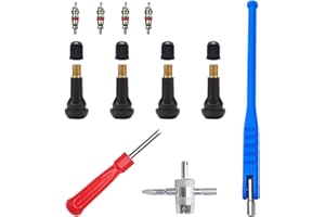 GIONAR 11 Pièces Demonte Valve Pneu, Outil de Démontage de Valve Pneu Voiture Kit de Réparation Valve Core Tire, pour Voiture Moto Extracteur Noyau Valve en Cuivre Accessoires Montage Pneus