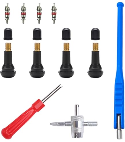 Kit 65 Pièces Outils Valve Pneu - Noyaux, Capuchons, Extracteurs - Voiture Moto Vélo