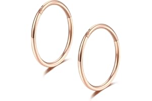 Lantine Nose Piercing Ring Thin Hinge 316L Surgical Steel Segment Ring Clicker Septum Piercing Rose Gold Nostril Piercing Forward Helix Piercing Jewellery 6-16 mm 16 g 18 g 20 g Pack of 2/3/4