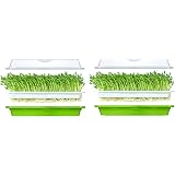 2er Set Kresse Anzuchtschalen 25x18cm - Keimschalen Für Sprossen Mungbohnen Alfalfa Weizengras