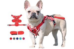 Lairle Puppy Harness,Cat Harness and Lead Set,No Pull Dog Cat Harness,Soft Mesh Breathable Reflective Puppy Cat Dog Vest Harnesses for Small Dogs Cats