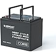 Renogy 12V 100Ah LiFePO4 Battery with 5000+ Deep Cycles, 12 Volt Lithium Battery with BMS Protection & IP65, Backup Power for Van Caravan Campervan Motorhome Cabin Marine, Support Series/Parallel