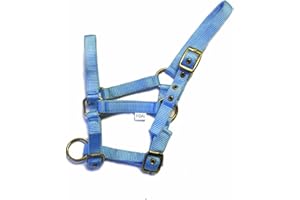 Rhinegold Nylon Foal Headcollar