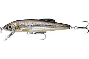 LIVE TARGET LiveTarget Minnow- Jerk Bait, 2 1/2", 1/8 oz, Silver/Black