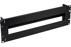 InLine 19106B - Regleta con interruptor (19", 3U, con carril), color negro