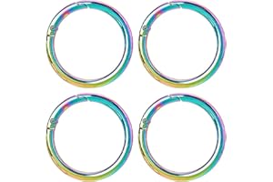 SUNNYCLUE 1 Box Spring O Rings Round Carabiner Clip Large 48mm Alloy Metal Rainbow Snap Trigger Hooks Buckles Clasps for Making Craft Keychain Bag Purse Charms Supplies Handbag Accessories Women