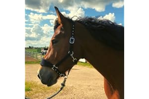 PFERDELINIS Cavezza imbottita a sangue caldo | Cavezza per cavalli Full | con pile | Cavezza per cavalli nero | 2 posizioni regolabili (nero, sangue caldo)