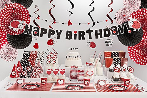 XXL Party Deko Set 1.Geburtstag Kindergeburtstag Marienkäfer rot für 12 Personen (135 teilig) Party Geschirr Set