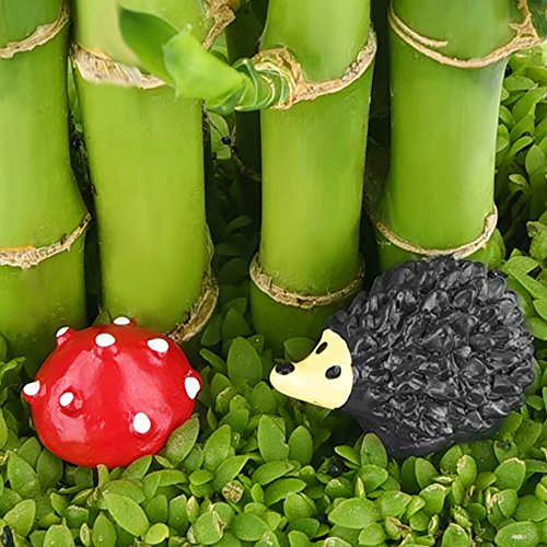 56 Pieces Fairy Garden Accessories Miniatures Ornaments Kit for DIY Dollhouse Decor reviews 56 Pieces Fairy Garden Accessories Miniatures Ornaments Kit for DIY Dollhouse Decor