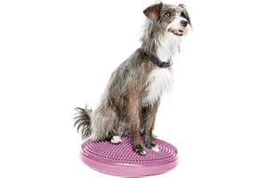 Fitpaws Balance Disc per cani 14 pollici, Viola