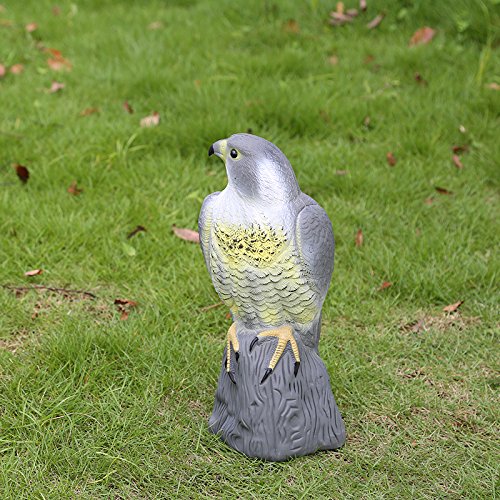 Gazechimp Lockvogel Vogel Vogelscheuche Scarer Garten Dekoration - 4