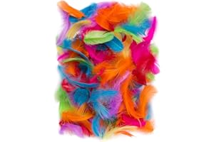Netuno 150 Plumas Decorativas Multicolores 10g Manualidades Decoración Atrapasueños Fiestas Pascua Navidad Bricolaje Hogar Bodas Cumpleaños Decoraciones Árbol Mesas Proyectos Creativos