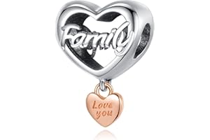 RMMY Family Love Anniversary Charms Abalorios Colgante de Cuentas Plata de Ley 925 con Compatible con Europeo Pulsera Collar, Charms de Para Niña Mujer Regalos de Familia y Amigos