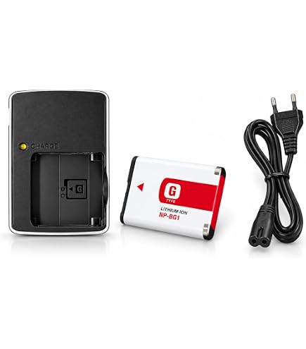 NP-BD1 Digital Cameras Charger for Sony Cybershot DSC-T70, DSC-T77