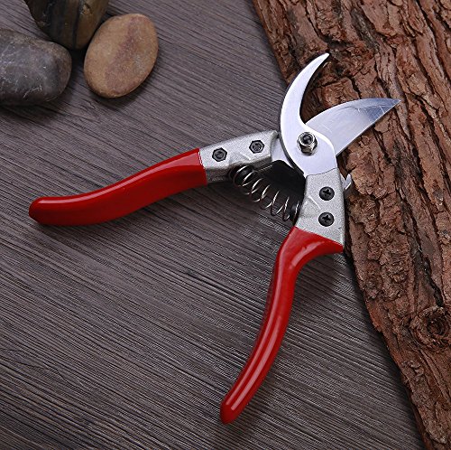 Gartenschere – Smaier Hand Schneide Schere zum Schneiden von Hecken, Unkraut, Rasen und zum Gras Schneiden Rosenschere ideal für professionelle Gartenarbeiten – Ergonomischer Griff - 6