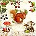 Produktbild 20 Servietten Sqirrel - Eichhörnchen, Beeren und Pilze / Herbst / Tiere / Fliegenpilz 33x33cm