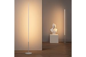 EDISHINE Set di 2 Lampada da Terra LED, 19W Piantana Argenteo Dimmerabile, Lampada Lettura Moderna con Interruttore a Pedale, Bianco Caldo 3000K, Colonna per Soggiorno, Camera da Letto, Sala Giochi