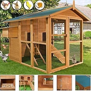 Artgerechter Huhnerstall Fur Deine Huhner So Sieht Er Aus Tipps Vom Profi