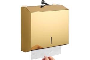 GORLARY Dispensador de Toallas de Papel para Montaje en Pared, dispensador de Toallas de Papel de Mano multipliegue, Soporte de pañuelos de Acero Inoxidable