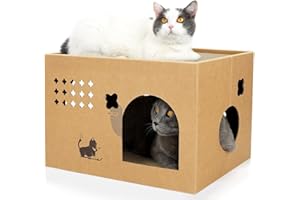 ARGOPET Cat Cardboard House with 2 PCS Scratching Pads, Large Scratcher Bed Corrugated Board Detachable Scratcher Box for Cats.(Cactus)…