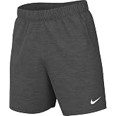 Nike Park 20 Shorts Men