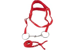 MOKERNALI Briglia Per Cavallo con Redine, Cavezza Per Cavallo Regolabile in PP Resistente Imbracatura Facile da Usare Testata Per Briglia Per Cavallo con Morbido Cuscino Per La Protezione della Pelle del Cavall