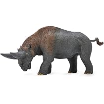 Collecta Dinosaurier-Figur 'Dolichorhynchops' – Detailgetreue Urzeit-Nachbildung Für Sammler & Kinder