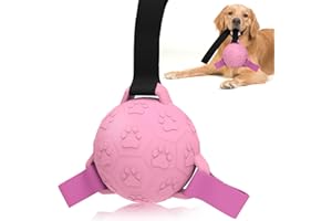 TASDISE Balls da cane in gomma interattiva, giocattoli da calcio per cani palline da bingoie, giocattoli a pallone da calcio interattivi durevoli per l'allenamento e l'esercizio fisico per i cani