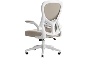 Hbada Ergonomic Desk Chair, Computer Office Chair with Flip-up Armrest&Lumbar Support, Adjustable Height, Grey
