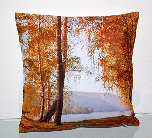 weiche KISSENHÜLLE 40×40 cm Herbstlandschaft am See Kurzvelours Polyester Dekokissen Kissenbezug TREND FOTOprint Kissen Frühling Sommer Herbst (Herbstlandschaft Bunt) - 3