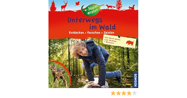 Mein Erstes Unterwegs Im Wald Entdecken Forschen Spielen Amazon De Sokolowski Ilka Bucher
