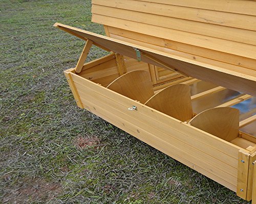 Extra Large Chicken Coop Ashishtomer