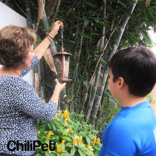Die beste Vogelfutterstation, perfekt für den Garten, großartige Futterstationen für kleine bis mittelgroße Vögel, leicht zu reinigen und zu befüllen, inklusive Aufhänger für die Futterstation. (Copper) - 4