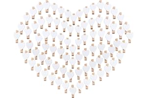 ABSOFINE 100 Herz Wäscheklammer Holz mini klein Holzklammern 3,5cm Foto Handwerk Clips Deko Patchwork Klammern Dekoklammern Holzwäscheklammern Zierklammern in weiss