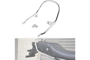 GYMARK Motorrad Hinterer Beifahrer Handgriff Armlehne Schienen Bar Support Halterung für Kawasaki Z900RS Z900 RS Cafe 2018 2019 2020 2021 2022 Haltegriff Zubehör (Silber)