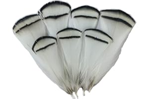 Sowder fagiano piumaggio piume White Pheasant Feather