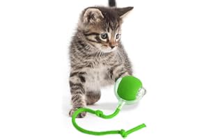 KQLHLHDYZ Interactive Smart Cat Ball for Indoor Adult Cats - Motion Sensor Pet Toy