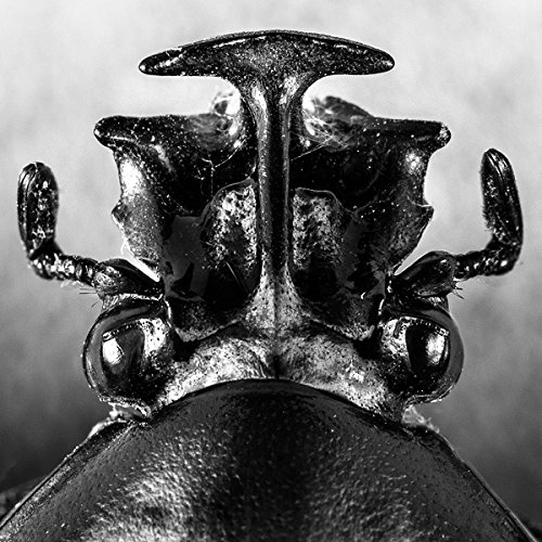 Preisvergleich Produktbild Ex03 [Vinyl LP]