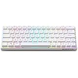 DIERYA 60% Mechanical Gaming Keyboard True RGB Backlit Bluetooth 5.1 Wired/Wireless LED Computer Keyboard for Multi-Device iP