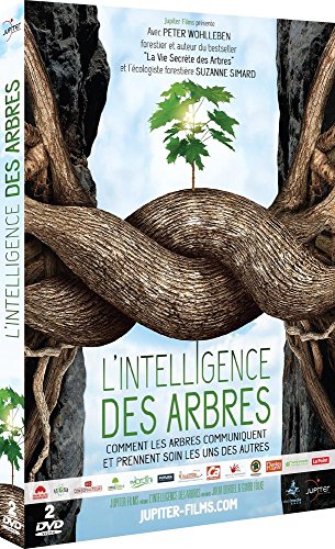 couverture de : L'intelligence des arbres