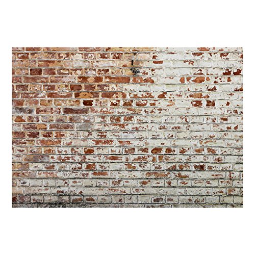 Fototapete Steinwand Steine 350×245 cm XXL | KOMPLETT SET MIT KLEISTER – PREMIUM VLIES TAPETE – PROFI QUALITÄT (Keine Papiertapete, keine Blasenbildung) – Top moderne Wanddeko – Fototapete 3D Illusion – Riesen Wandbild – Top Design Tapete – Neue exklusvie Edition mit noch besser Druckauflösung – Deutsches Premium Vlies (Kein Import Vlies oder PVC), Schlafzimmer, Wohnzimmer, Kinderzimmer geeignet | Fototapeten Wandtapete FOB0147a73XL - 3