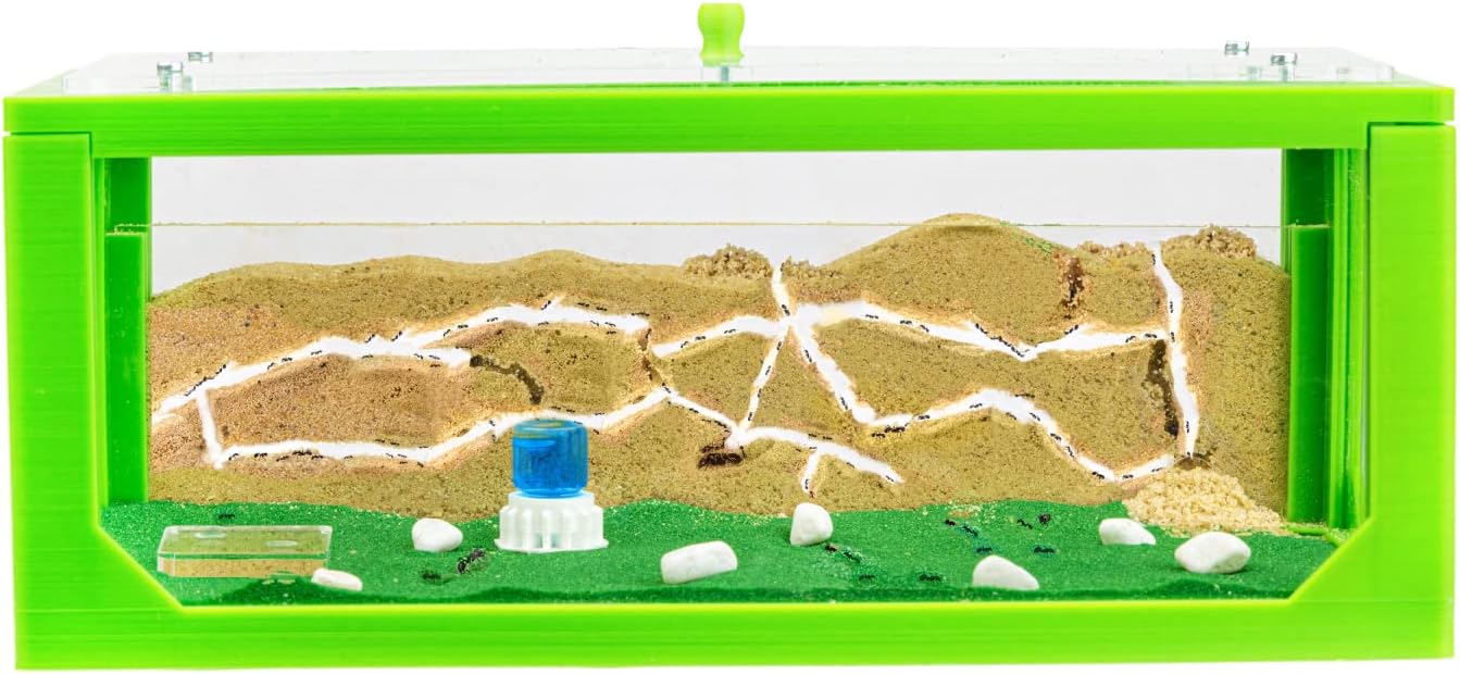 AntHouse.es - Hormiguero de Arena | Kit 3D Inicio Big 30x15x10 cm | Granja de Hormigas Verde | Colonia de Hormigas Incluida