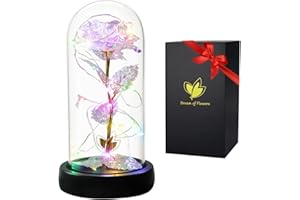 DREAM OF FLOWERS Cadeau Fete des Meres Roses eternels La Belle et la Bête Élégant Dôme en Verre avec Lumières LED Pine Base, Magic Décor Cadeaux pour Saint Valentin Fête Anniversaire Mariage Rose