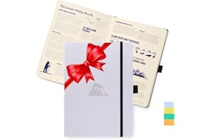 Dingbats* Earth A5+ Glicine Arctic Notebook - Dotted