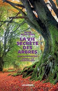 Couverture de La vie secrète des arbres : ce qu'ils ressentent, comment ils communiquent, un monde inconnu s'ouvre à nous