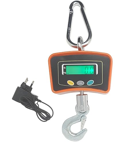 Bilancia Bilico Industriale Bascula 500kg Digitale Elettronica Professionale