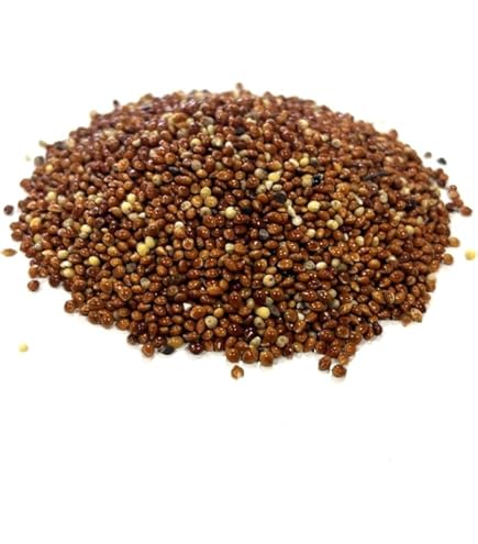 8-Quart Digital Air Fryer